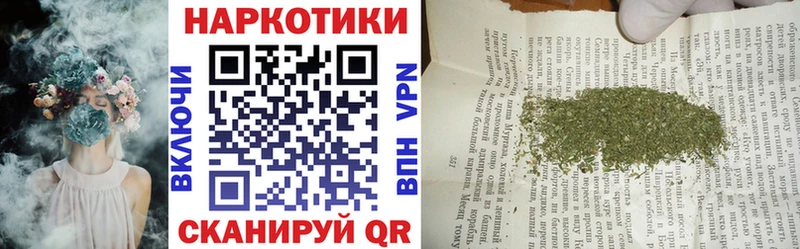 Где купить Жуковка KRAKEN   Cocaine  ГАШ  Конопля 