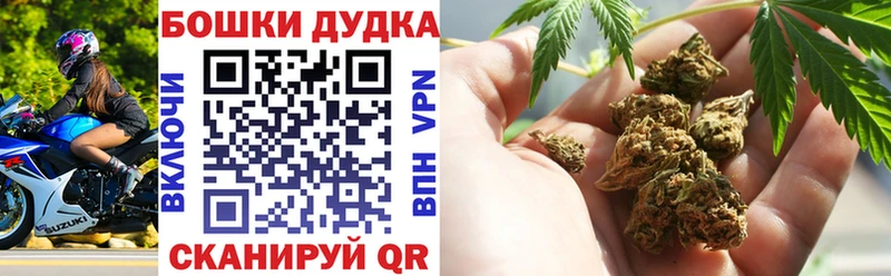Галлюциногенные грибы Жуковка